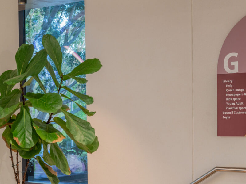 250919 SCC Library+ 📷Sean Batley-185